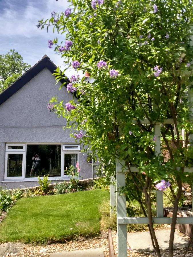 Pentre Isaf Bed & Breakfast คอนวี ภายนอก รูปภาพ