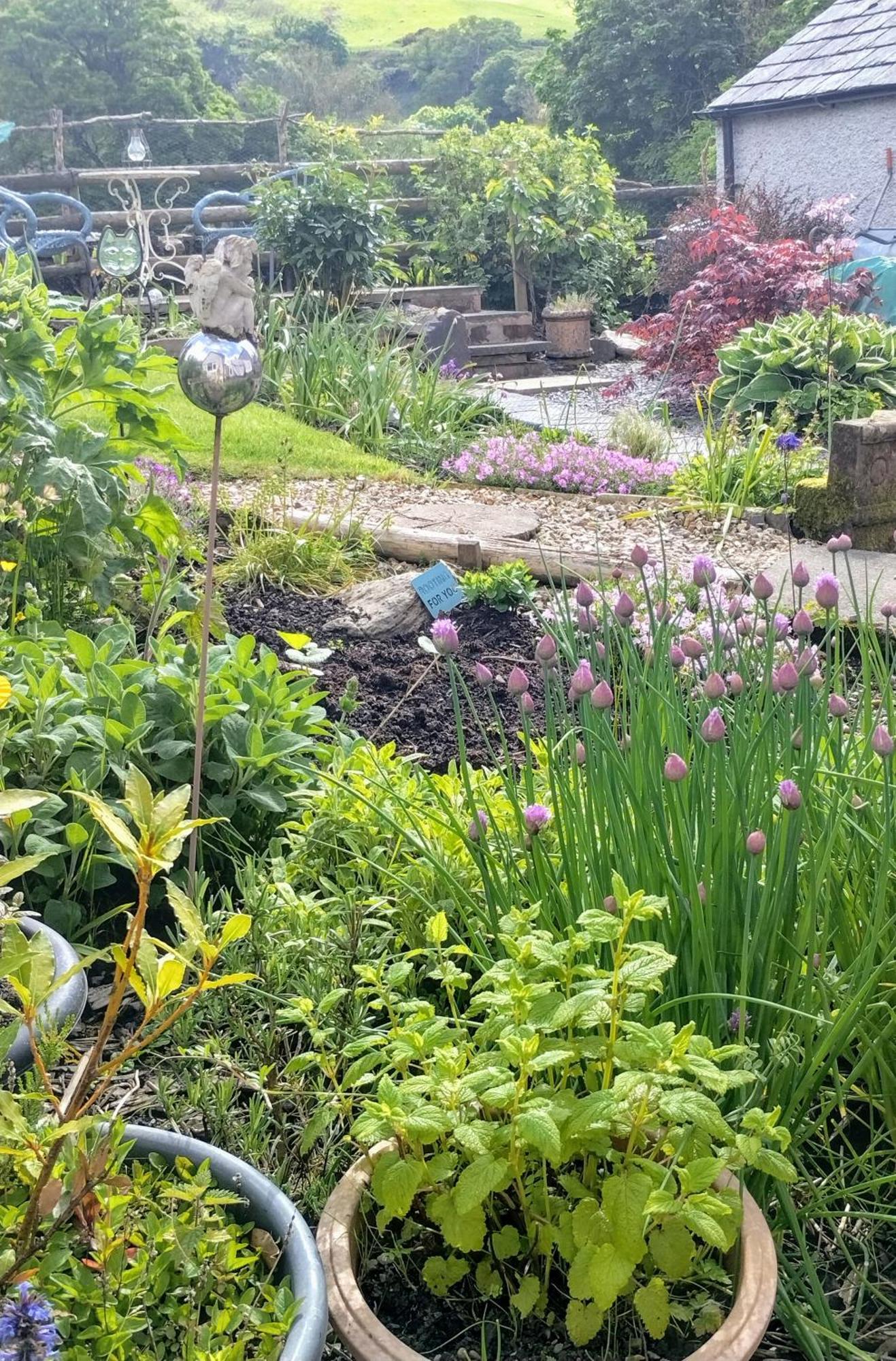 Pentre Isaf Bed & Breakfast คอนวี ภายนอก รูปภาพ